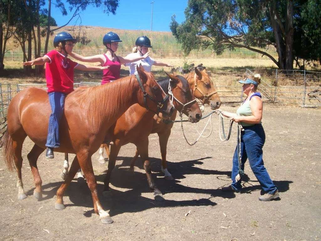 Janes Good Horses | 1 St Johns Mine Rd, Vallejo, CA 94591, USA | Phone: (925) 293-4627