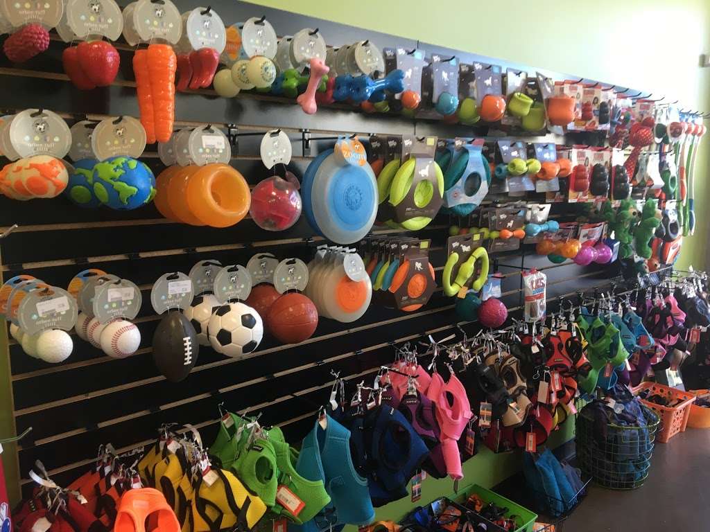 Bentleys Pet Stuff | 69 Waukegan Rd, Glenview, IL 60025, USA | Phone: (847) 729-7297