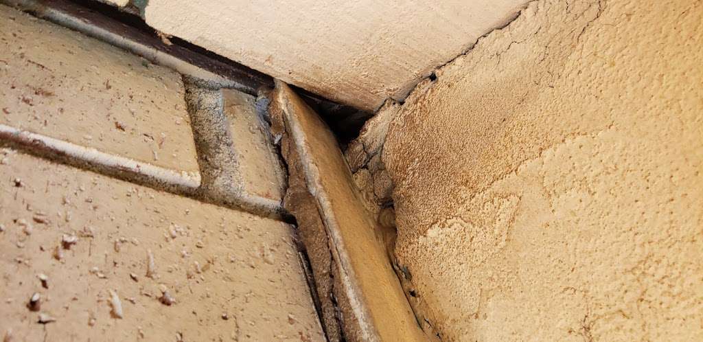 RED E Pest Prevention | 1469 Swift Ln, El Cajon, CA 92020, USA | Phone: (760) 681-6026