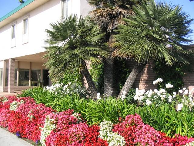 California Palms Apartments | 901 S Harbor Blvd, Santa Ana, CA 92704, USA | Phone: (714) 705-4670