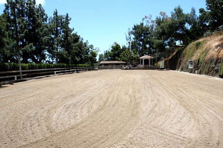 Angie Grove Dressage | 2581 Kanan Rd, Agoura Hills, CA 91301, USA | Phone: (818) 391-8958