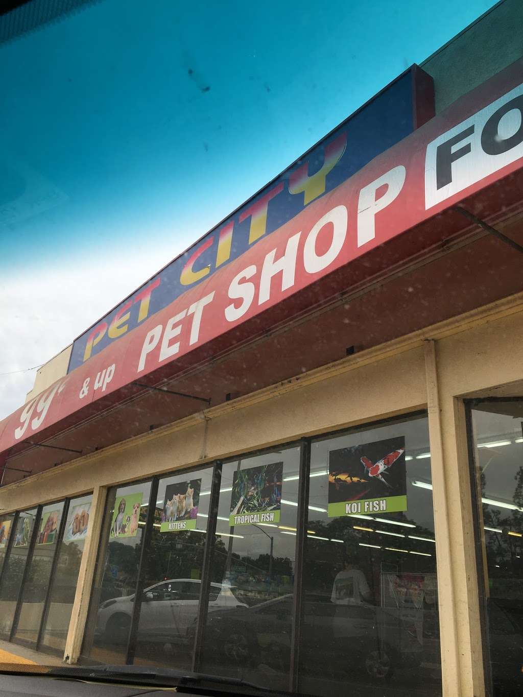 Pet City | 14718 Whittier Blvd, Whittier, CA 90605 | Phone: (562) 698-3277