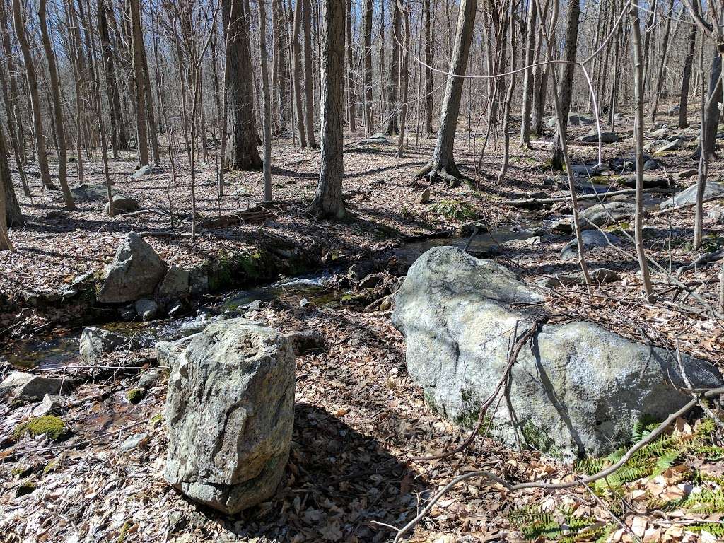 California Hill State Forest | Carmel Hamlet, NY 10512, USA