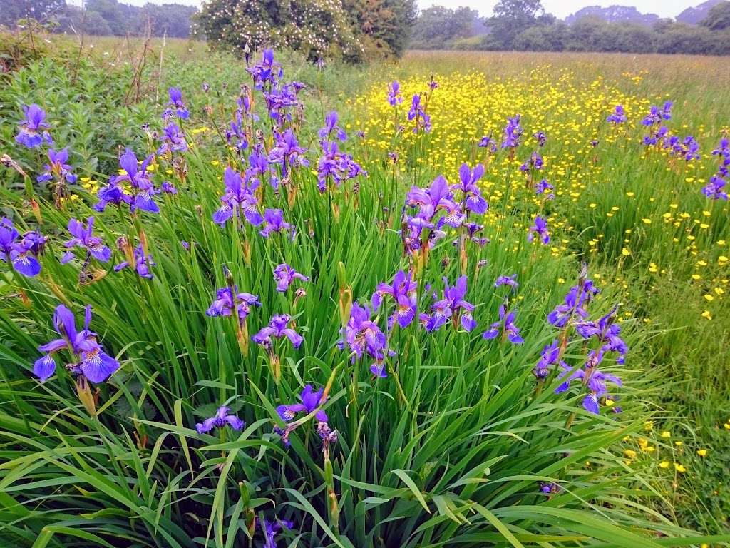 Byng Road Playing Fields | Barnet EN5 4NS, UK