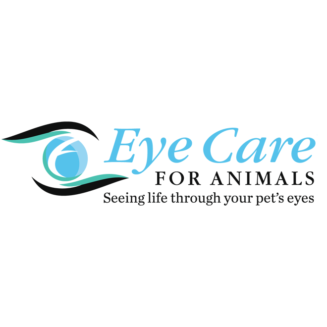 Eye Care for Animals | 3609 US-98, Lakeland, FL 33803, USA | Phone: (813) 881-9799