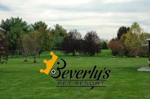 Beverlys Pet Resort | 14000 Promise Rd, Fishers, IN 46038, USA | Phone: (317) 773-6550