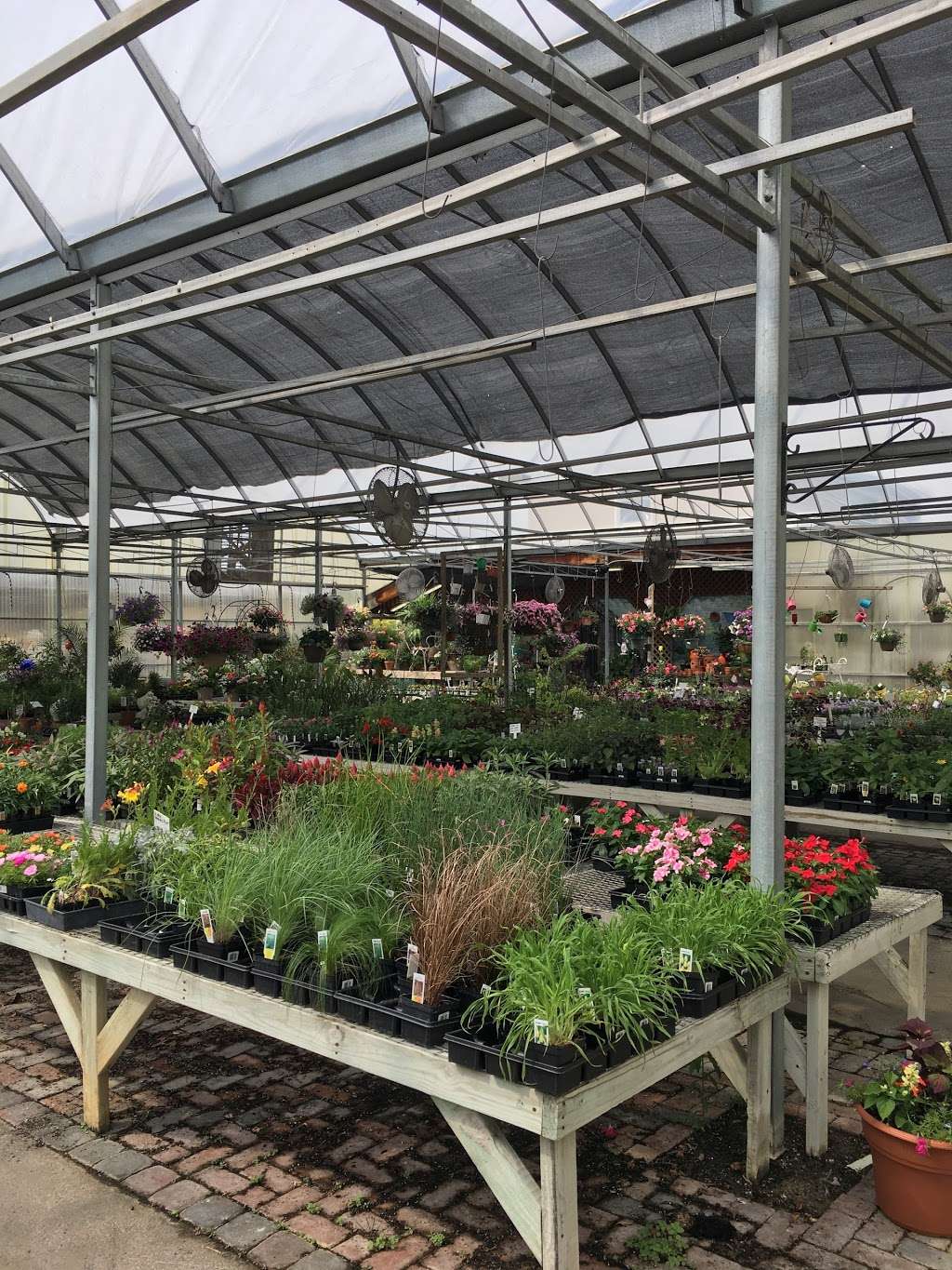 Lovells Nursery, Inc | 19777 Leitersburg Pike, Hagerstown, MD 21742, USA | Phone: (301) 733-8733