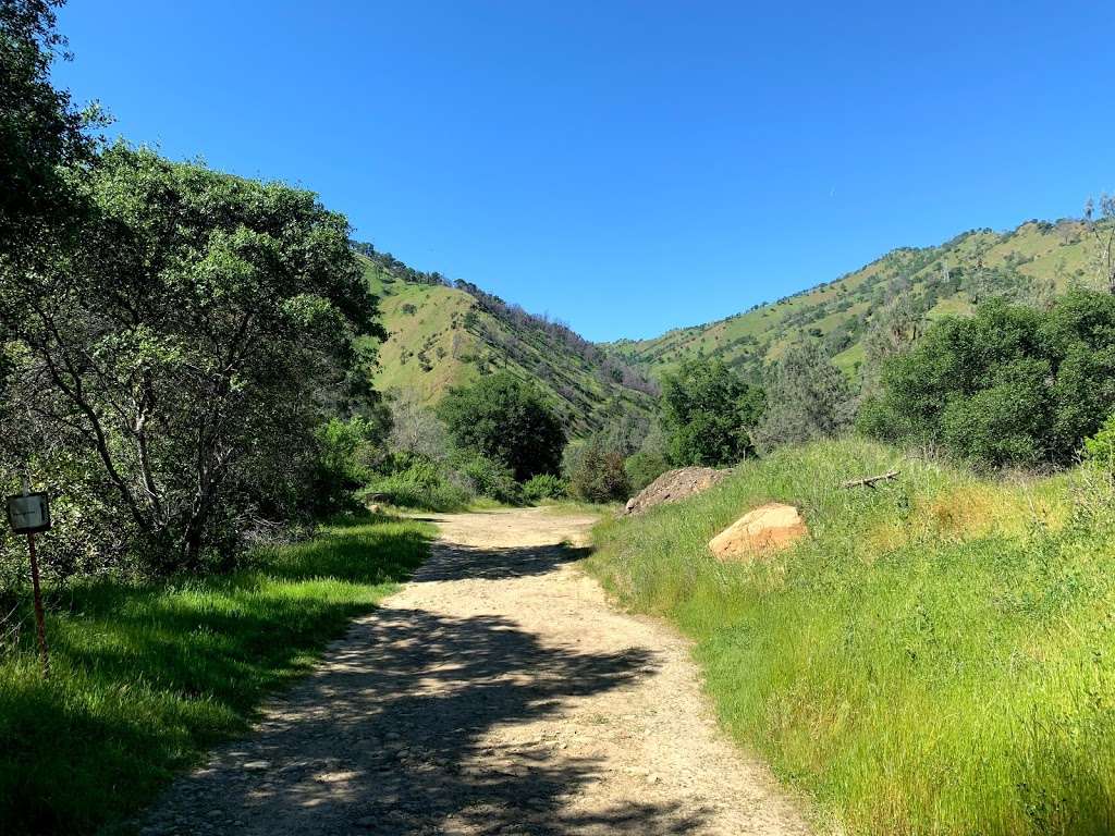 UC Davis - Stebbins Cold Canyon Natural Reserve | 24875 CA-128, Winters, CA 95694, USA