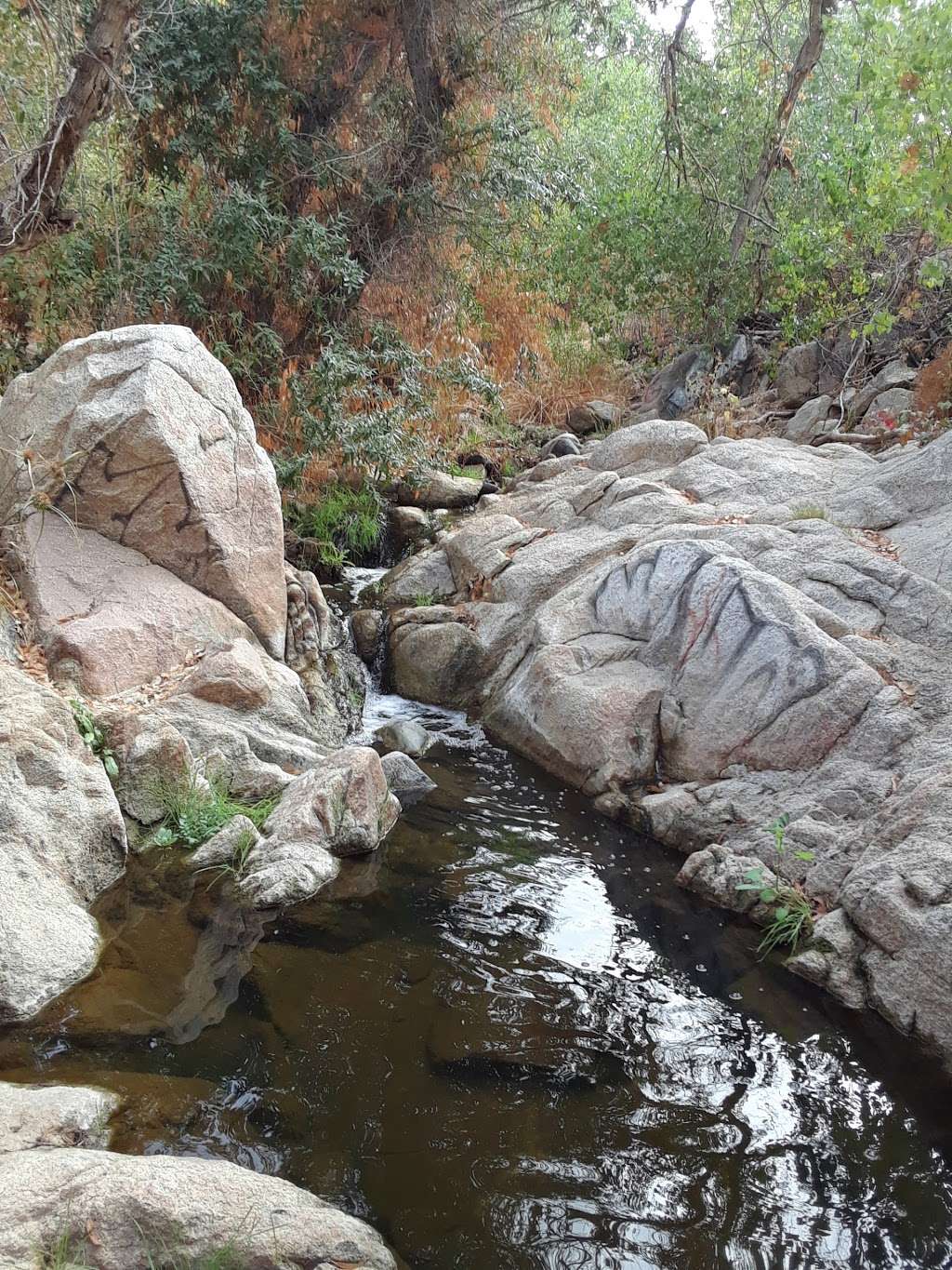 Sycamore Canyon Wilderness Park | 400 Central Ave, Riverside, CA 92507 | Phone: (951) 826-2596