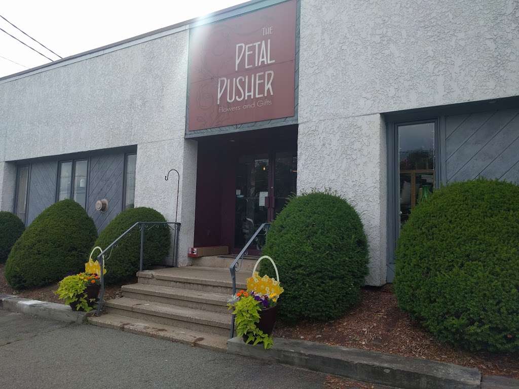 Petal Pusher Florist | 89 Main St, Childs, PA 18407, USA | Phone: (570) 282-0101