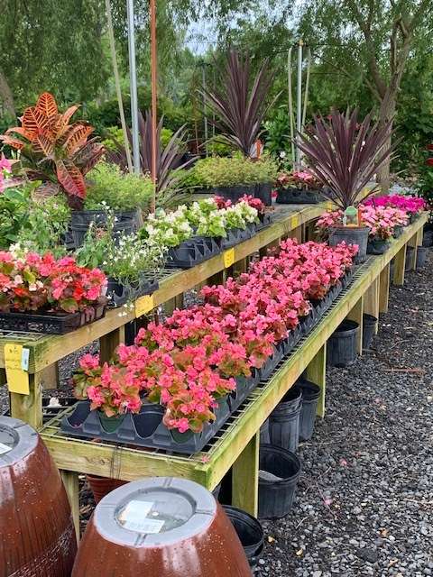 Spring House Nursery Inc | 1224 N Bethlehem Pike, Lower Gwynedd Township, PA 19002, USA | Phone: (215) 646-2495