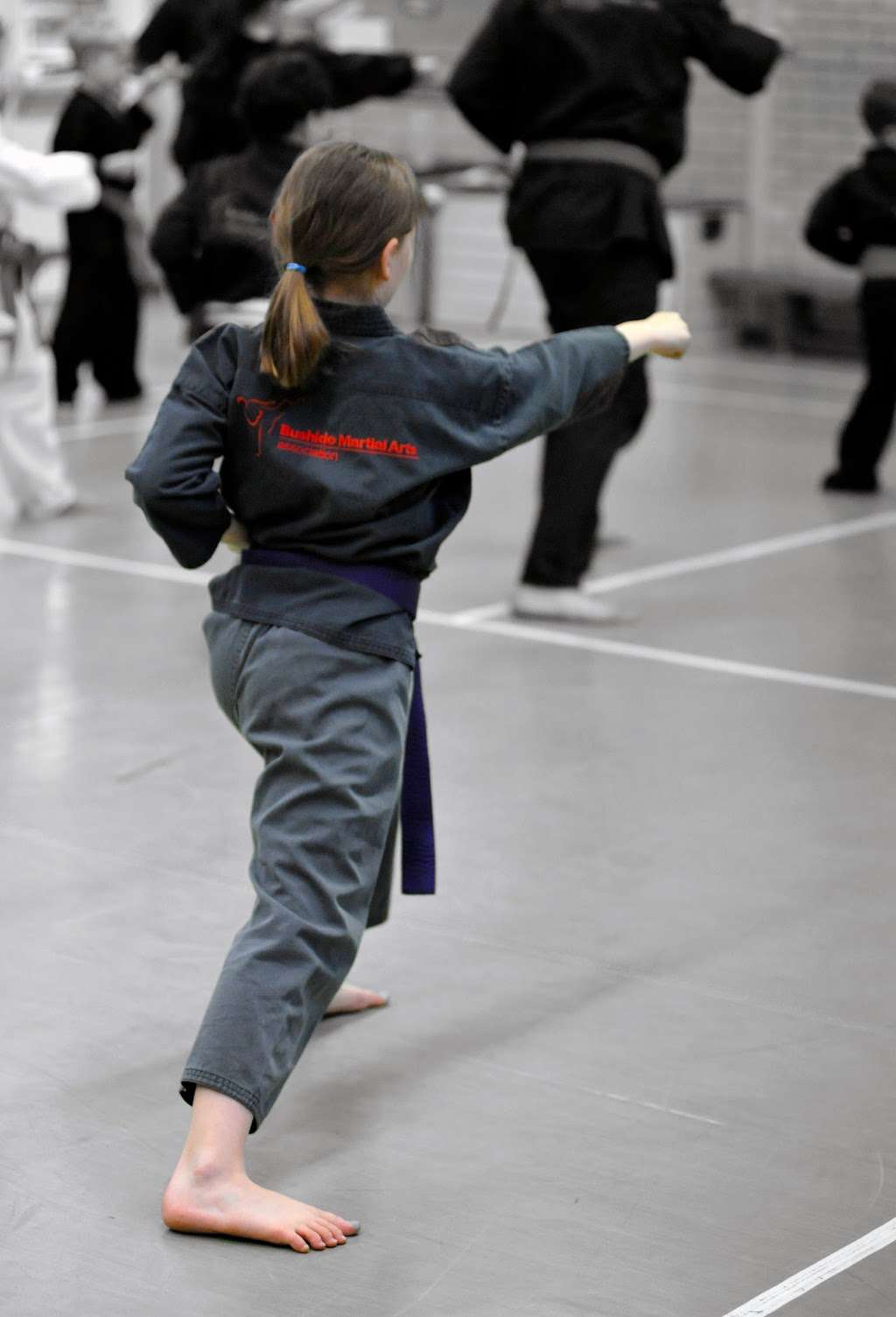 Bushido Karate Club - Bushido Martial Arts | Wheatfields School, Westminster Lodge, Hatfield Leisure Centre and Bricket, Wood, Downes Road, St Albans AL4 9NT, UK | Phone: 07789 934553