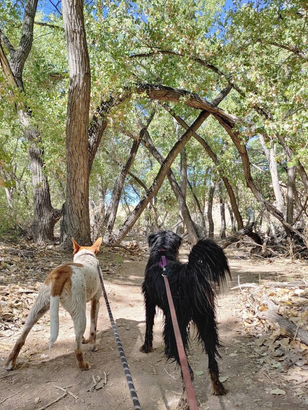 Willow Creek Trailhead and Open Space | Willow Creek Rd NE, Rio Rancho, NM 87144, USA | Phone: (505) 891-5015