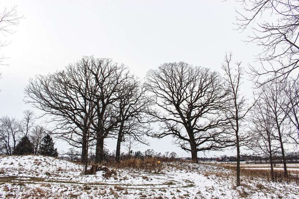 Effigy Mound Preserve | Indian Mound Pkwy, Whitewater, WI 53190, USA | Phone: (262) 473-0102