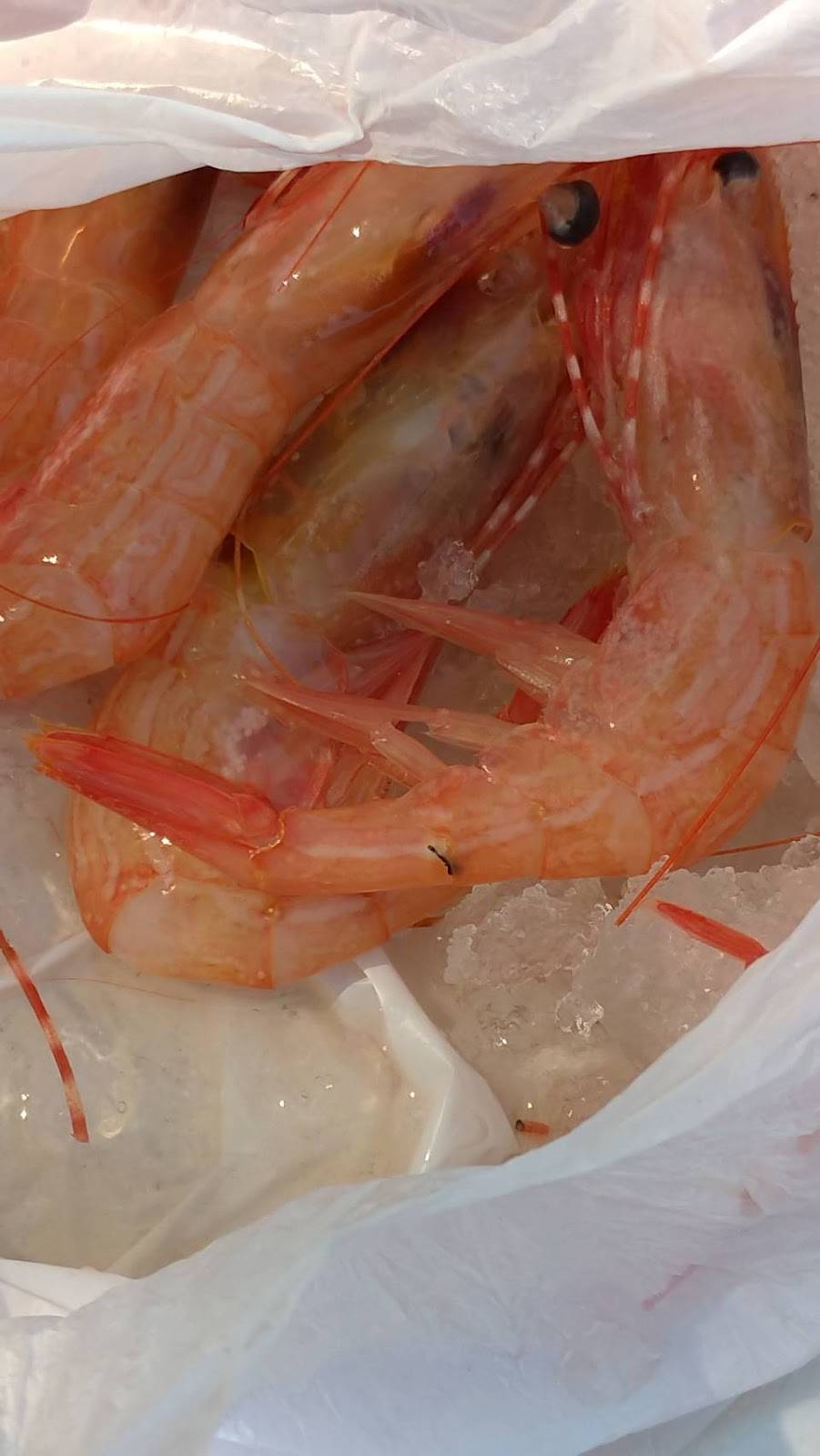 ABS Seafood | Pier 45, Shed D, 1, San Francisco, CA 94133, USA | Phone: (415) 401-0258