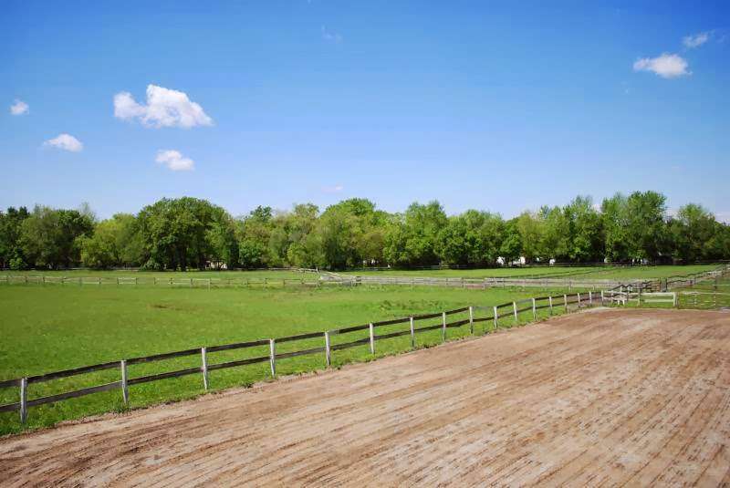 Cedar Point Horse Farm | 14516 Reeder Rd, Crown Point, IN 46307, USA | Phone: (219) 662-9304