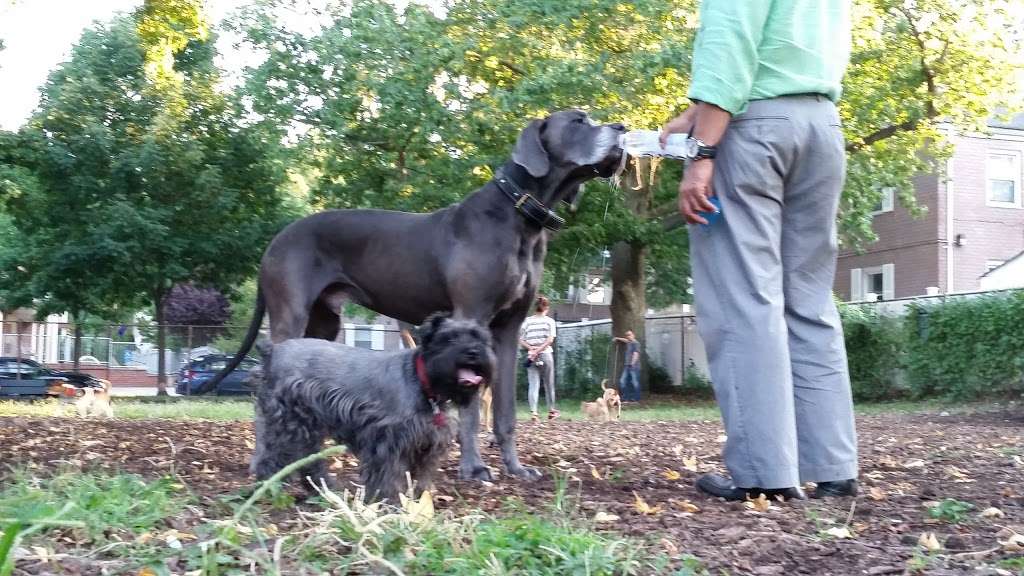 Underbridge Dog Run | 64th Ave. &, Grand Central Pkwy, Forest Hills, NY 11375