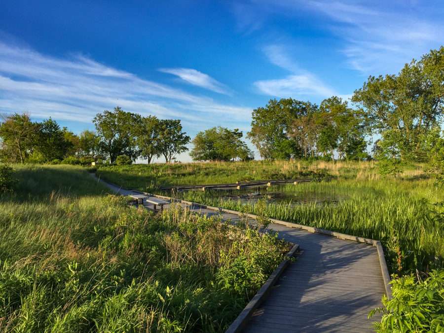 South Shore Nature Sanctuary | 7059 S South Shore Dr, Chicago, IL 60649, USA | Phone: (773) 256-0149