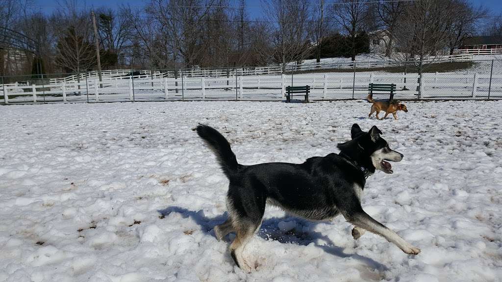 Danielle Ruiz-Murphy Center for Animal Welfare and Dog Park | 503 S Center Rd, Birdsboro, PA 19508, USA | Phone: (610) 921-2348