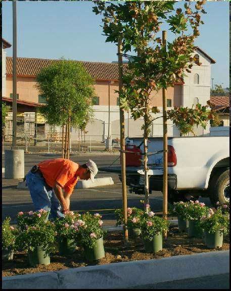 CTAI Pacific Greenscape | 23520 Kettle Rd, Murrieta, CA 92562, USA | Phone: (951) 696-2277