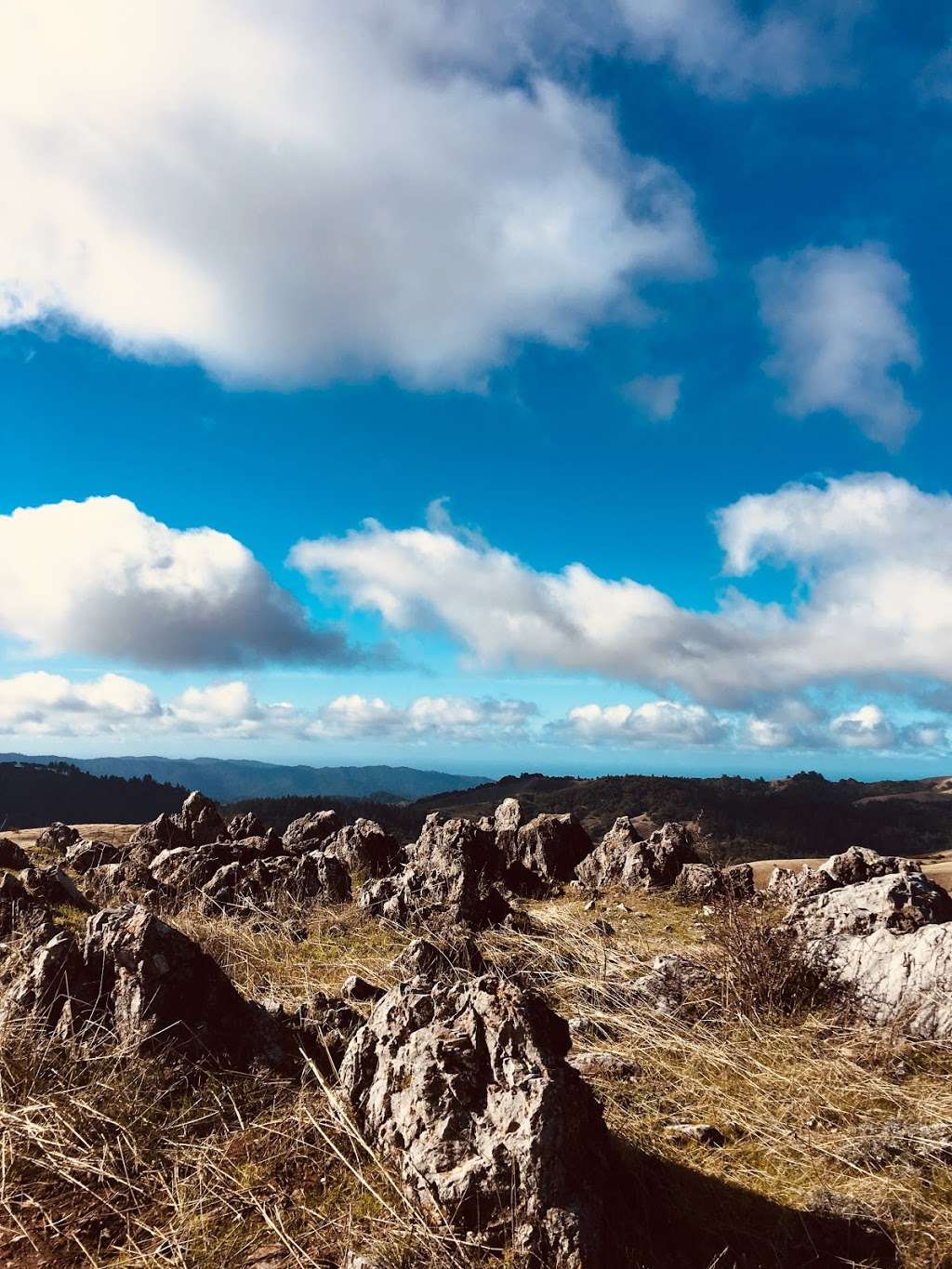 Black Mountain Peak | Black Mountain Trail, Los Altos, CA 94024, USA