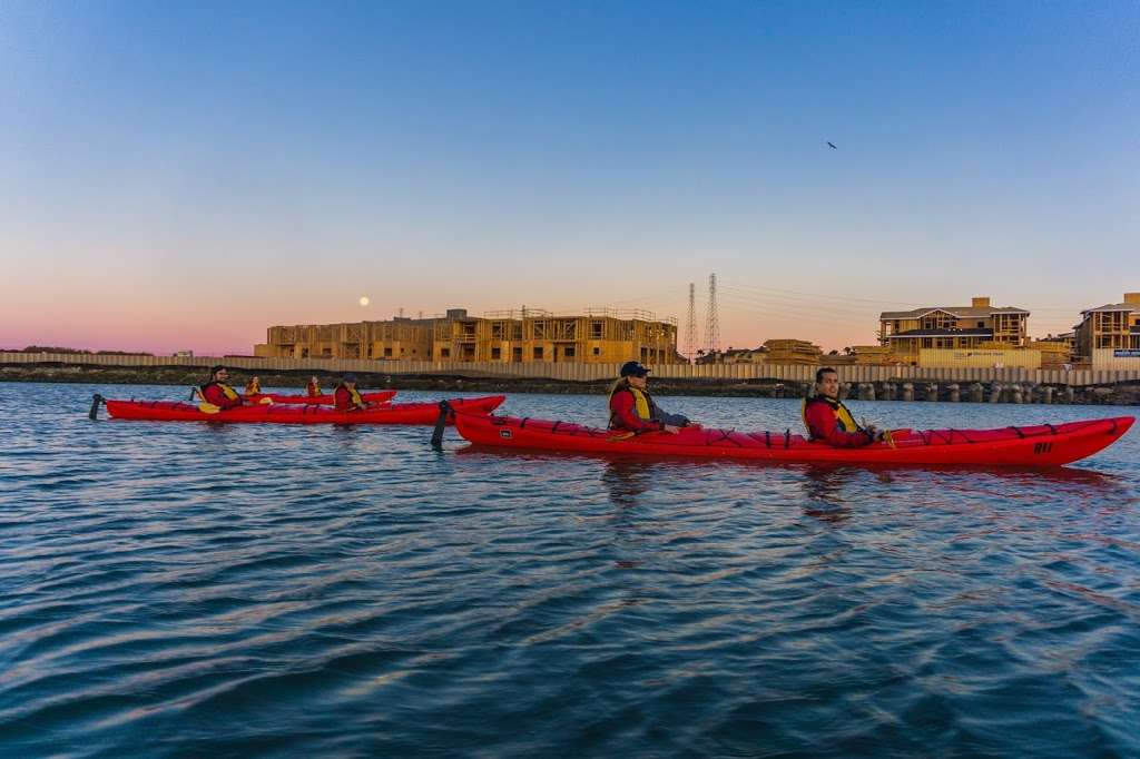 Bair Island Ecological Reserve | Redwood City, CA 94063 | Phone: (707) 944-5500