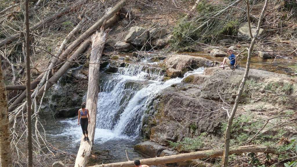 Dunnfield Creek Natural Area trailhead | 40°5818. 75°0733., 9 N 3rd St, Stroudsburg, PA 18360, USA