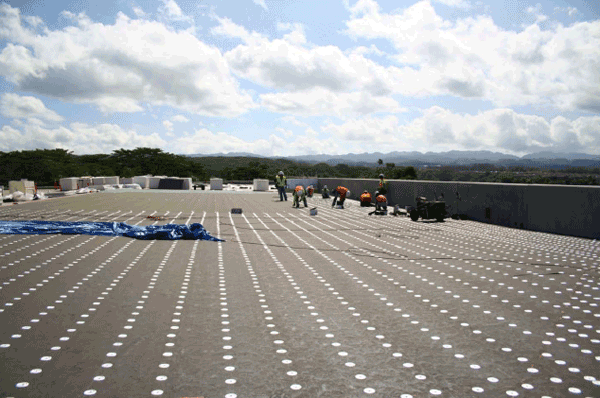 Torys Roofing & Waterproofing | 96-1382 Waihona St #1, Pearl City, HI 96782, USA | Phone: (808) 456-5990