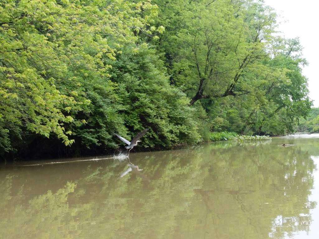 River Cruiser Kayaking | 3995 Jennings Rd, Cleveland, OH 44109 | Phone: (440) 539-6611