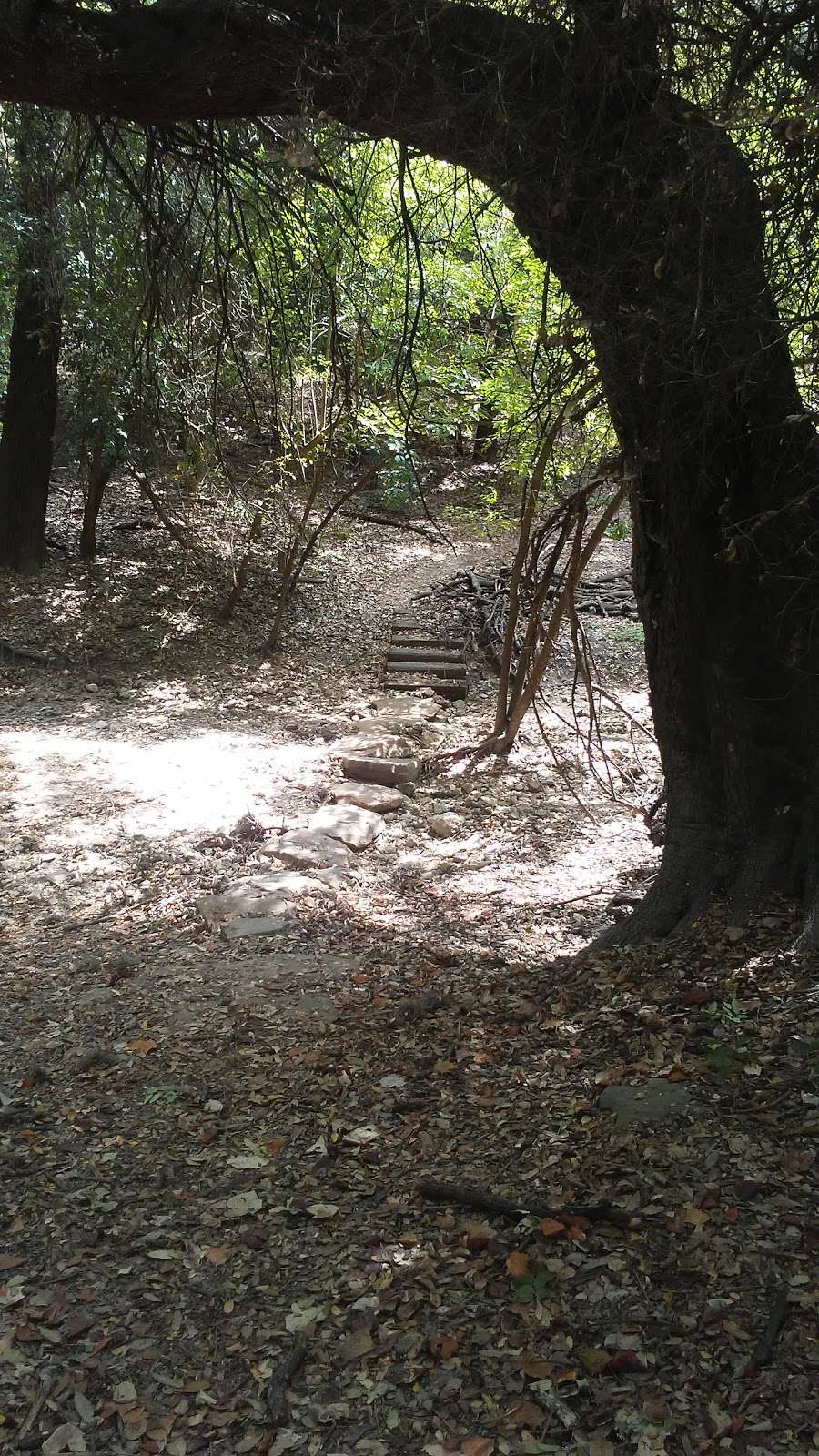 Judson Nature Trails | 246 Viesca St, Alamo Heights, TX 78209, USA