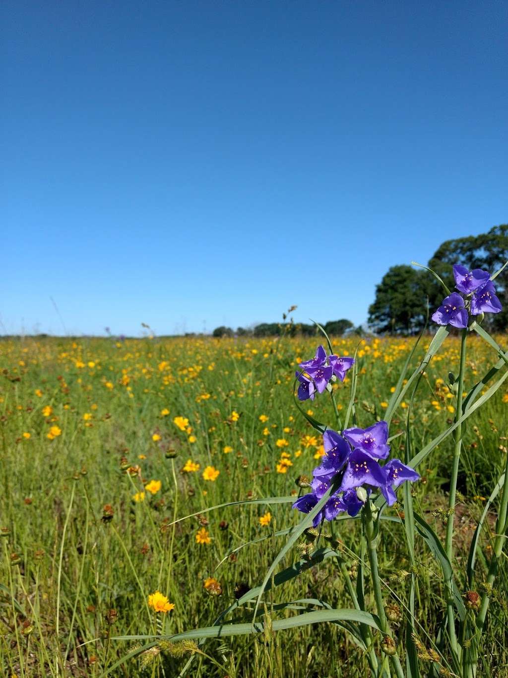 Kankakee Sands Preserve - Route 113 Access | Wilmington, IL 60481, USA | Phone: (815) 727-8700