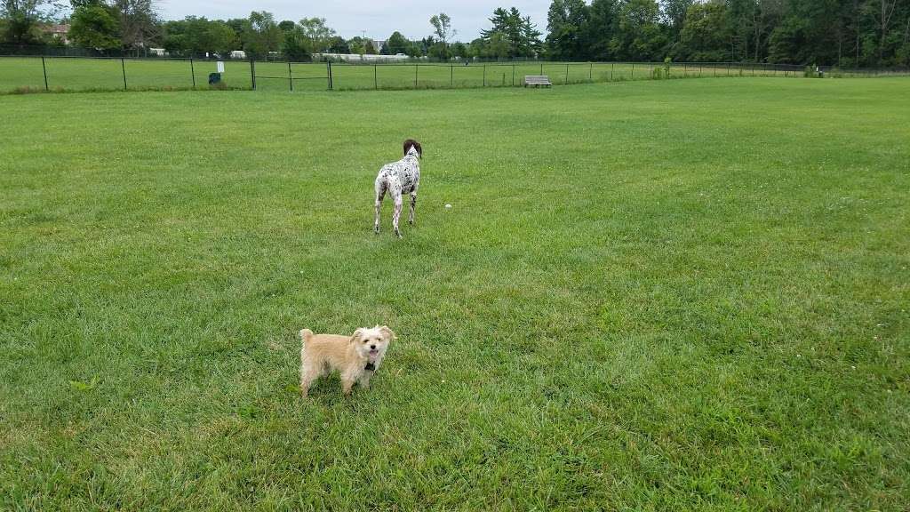 Dog Park | 6199, 5855 N High School Rd, Indianapolis, IN 46254, USA