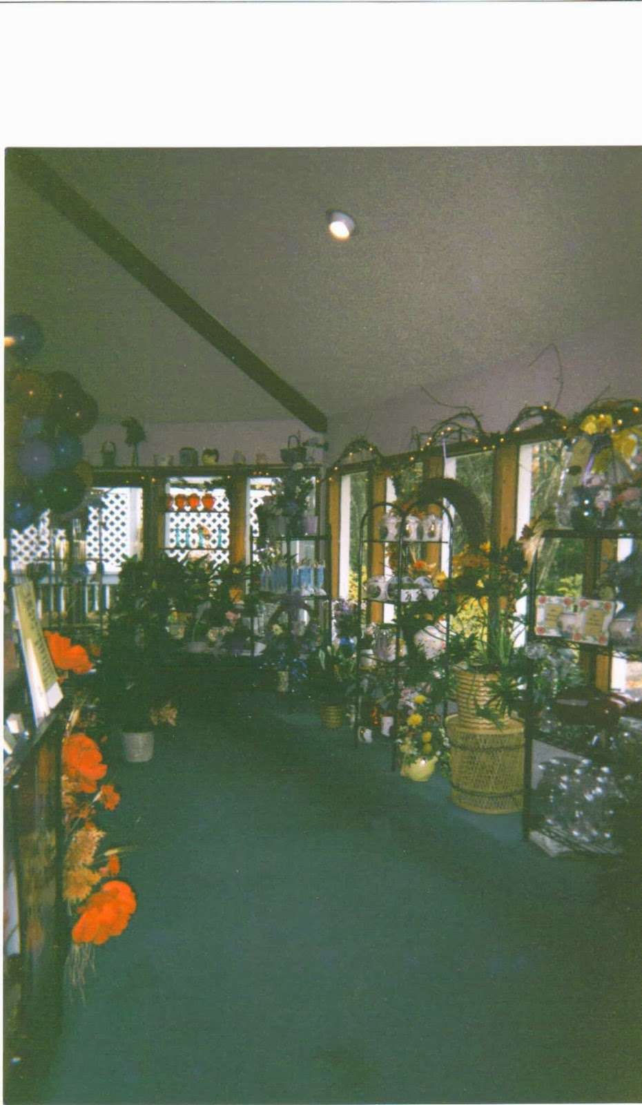 Black-Eyed Susans Florist | Hwy 9 at Seneca Blvd, Barnegat/Waretown Border, Barnegat, NJ 08005, USA | Phone: (609) 698-3100