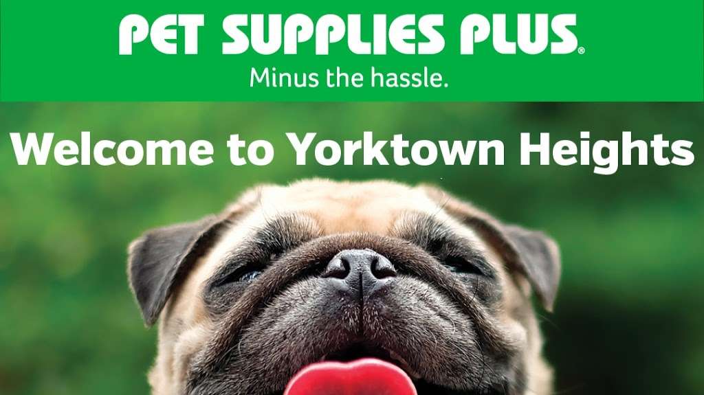 Pet Supplies Plus | 3333 Crompond Rd, Yorktown Heights, NY 10598 | Phone: (914) 930-8585