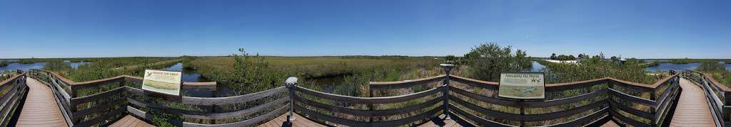 Allan Cruickshank Trail | Florida, USA