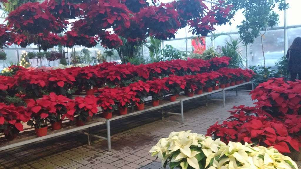 Gardners Landscape Nursery | 535 E Uwchlan Ave, Chester Springs, PA 19425, USA | Phone: (610) 363-5455