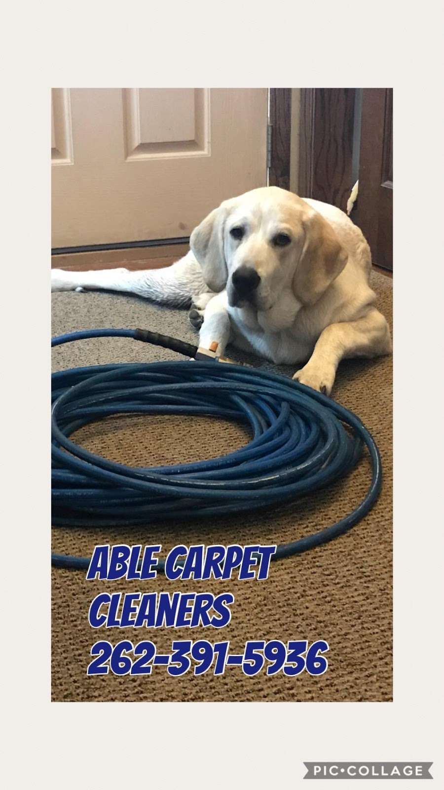 Able Carpet Cleaners | 346 Forest Grove Dr, Pewaukee, WI 53072, USA | Phone: (262) 391-5936