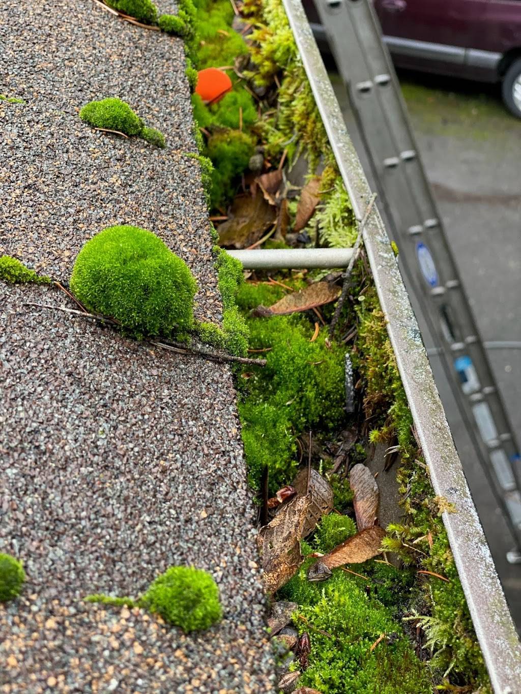 Harbor Roof & Gutter Cleaning | Moller Dr NW, Gig Harbor, WA 98332, USA | Phone: (253) 225-2852