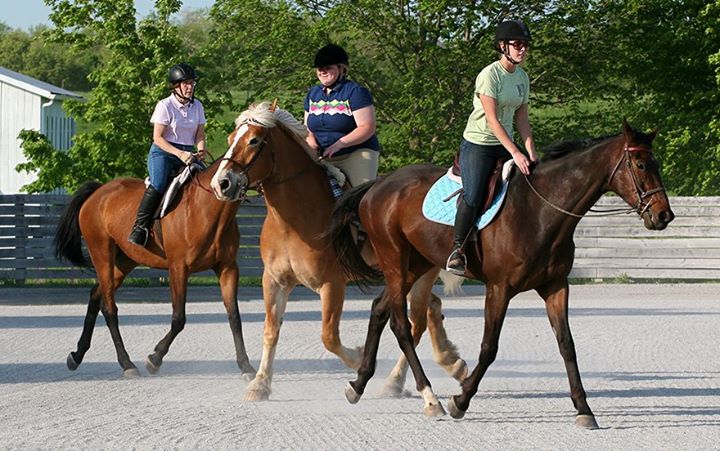 Sunburst Horsemanship School | 1129 Durham Ln, Nicholasville, KY 40356, USA | Phone: (859) 224-8480
