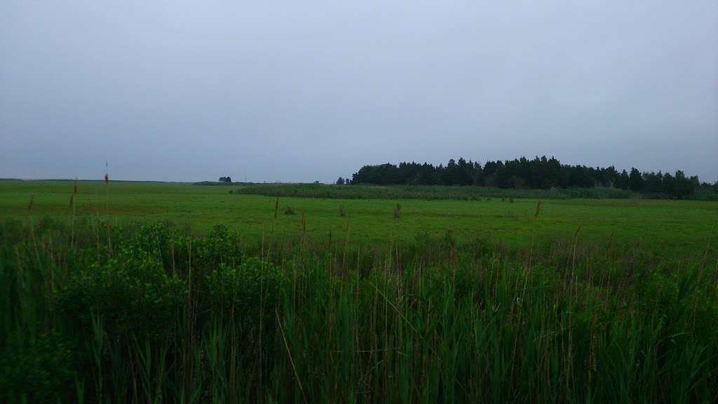 Island field- Ancient (10,000+) Burial Ground Of The Delaware Na | 3498 S Bowers Rd, Milford, DE 19963, USA