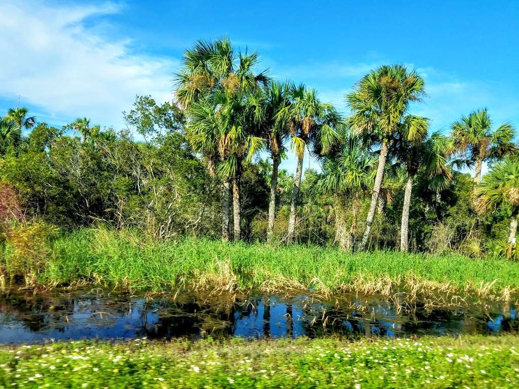 Buck Lake Conservation Area | 4077 Cinnamon Teal Dr, Mims, FL 32754, USA | Phone: (386) 329-4404