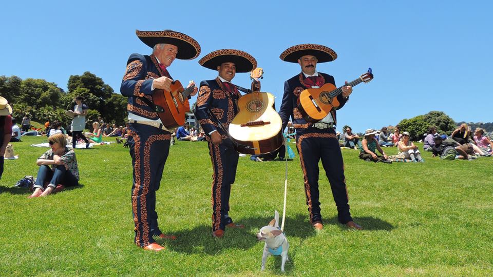 Mariachi Trio Sol de America | 477 Atlanta Ave, San Jose, CA 95125, USA | Phone: (408) 821-7215