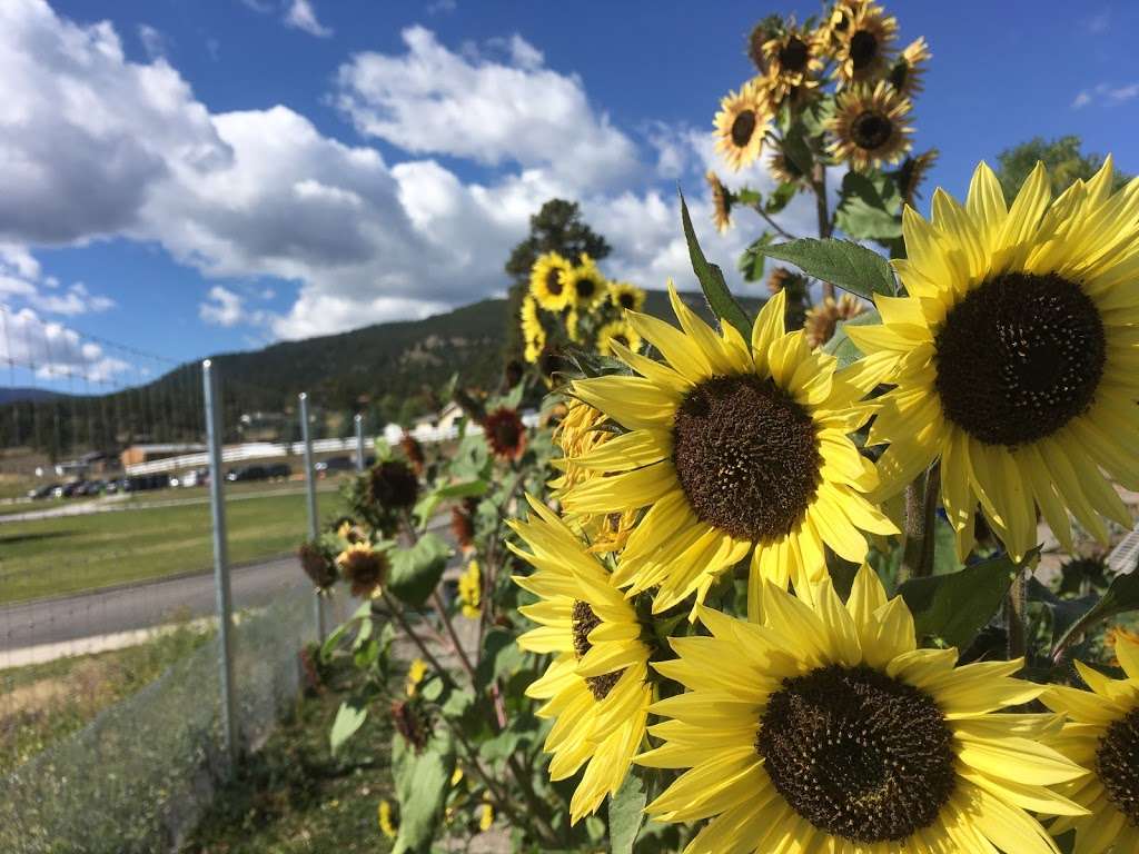 Buffalo Park Community Garden | Evergreen, CO 80439, USA