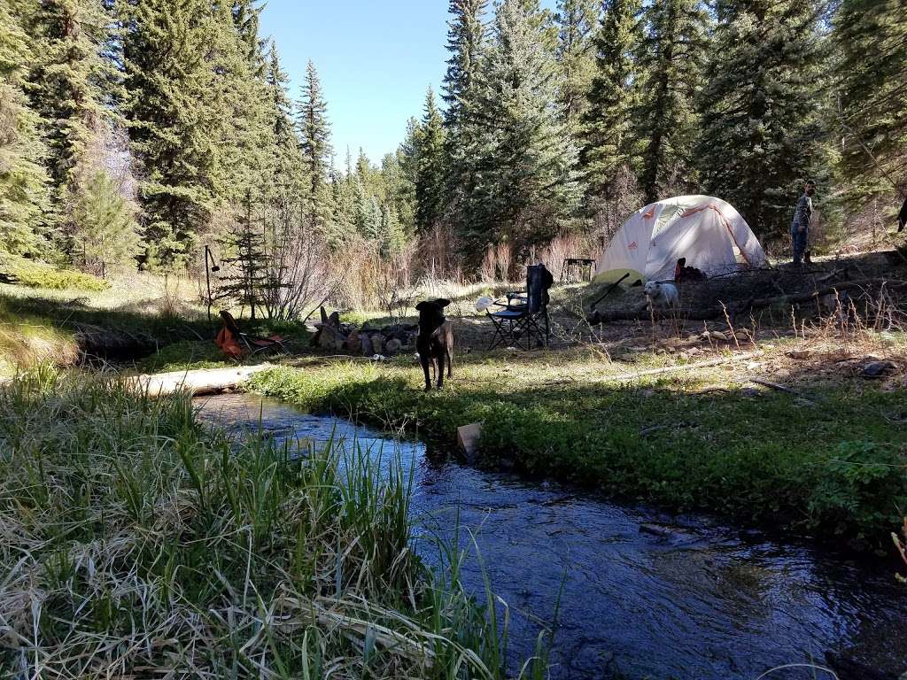 Big Turkey Campground | Woodland Park, CO 80863, USA