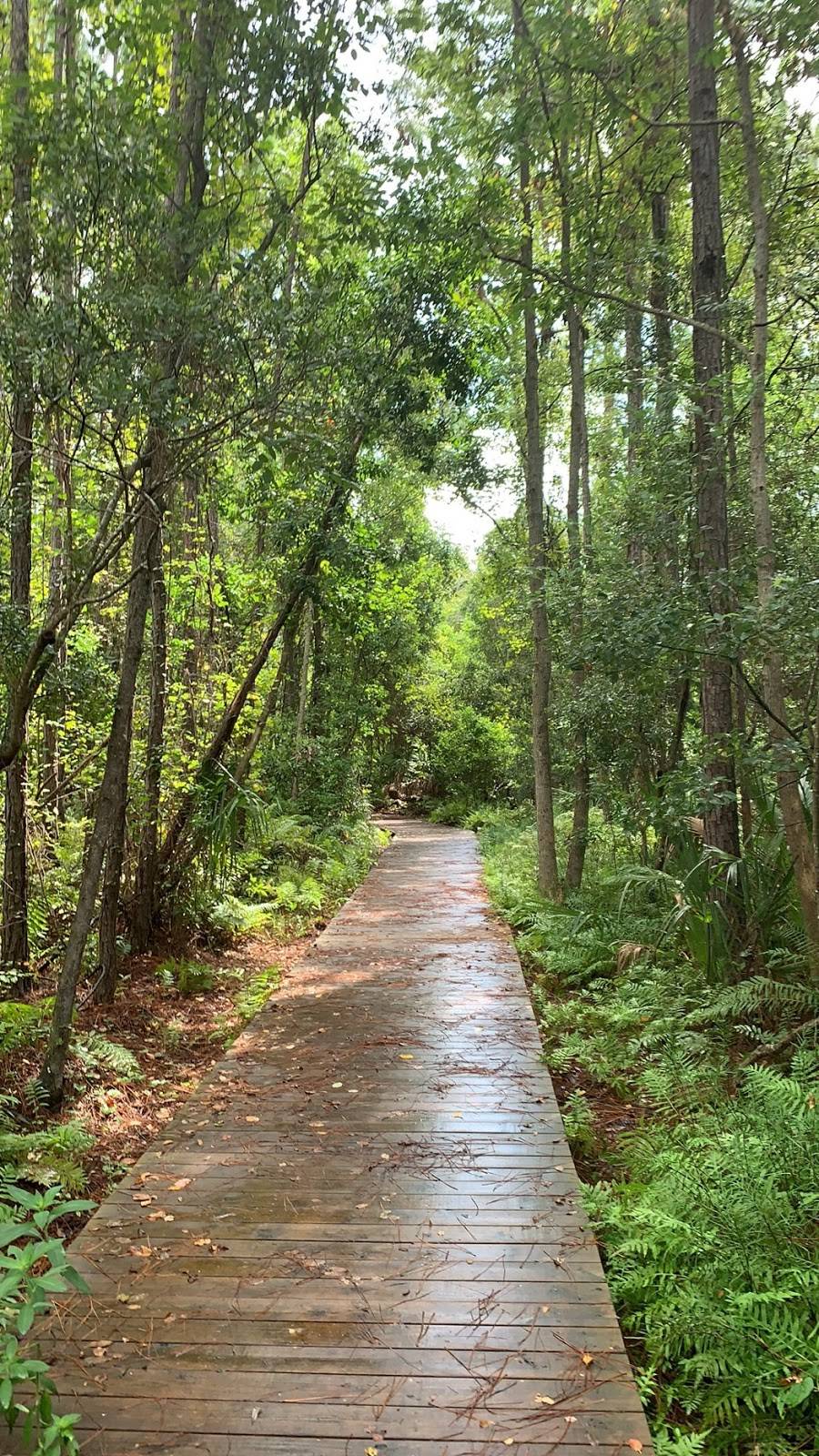 Theodore Roosevelt Area at Timucuan Preserve | 13165 Mt Pleasant Rd, Jacksonville, FL 32225, USA | Phone: (904) 641-7155