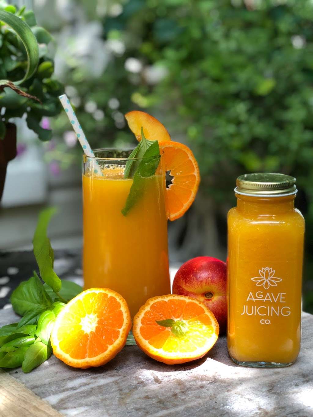 Agave Arts and Juicing Company | 406 S Talbot St, St Michaels, MD 21663, USA | Phone: (410) 745-0444