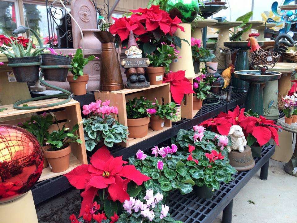 Wymans Garden Center | 1025, 141 Spring St, Hanson, MA 02341, USA | Phone: (781) 447-5400