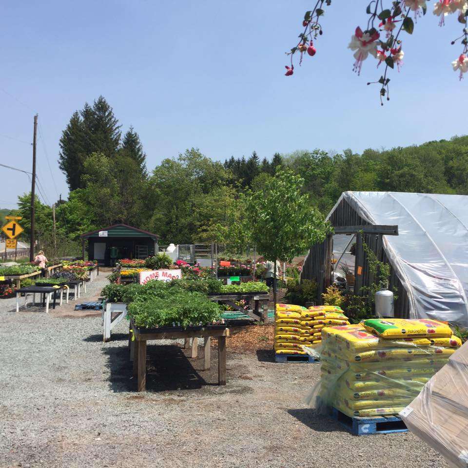 Cavages Country Farm Market | 1203 Roosevelt Hwy, Waymart, PA 18472, USA | Phone: (570) 251-7709