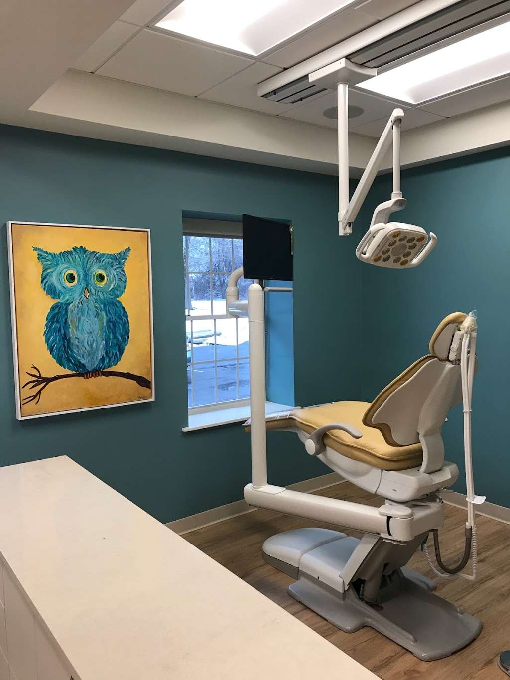 Village Pediatric Dental | 222 Main St, Acton, MA 01720, USA | Phone: (978) 263-2226