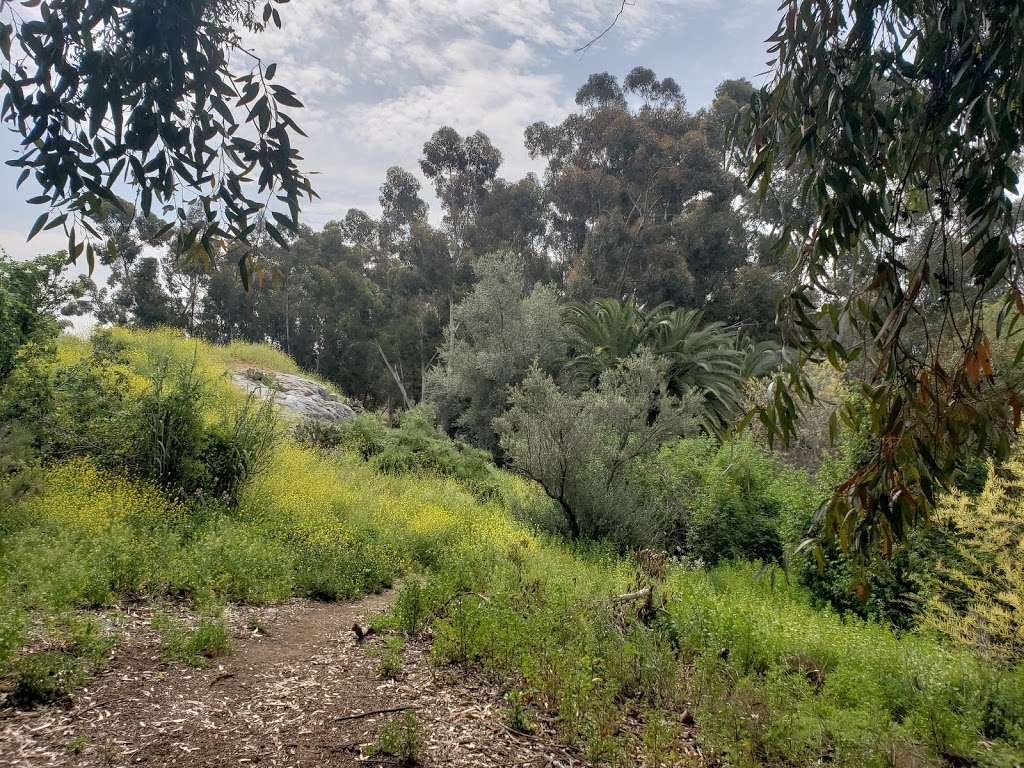 Damon Lane County Park | 11502 Calle Albara, El Cajon, CA 92019, USA | Phone: (858) 694-3030